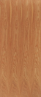 Lipped Timber Blank FD60 54mm Fire Door - LPD